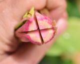 ほうれん草の和風生姜和え【作り置き】作り方1写真