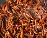 春の味♪つくしの佃煮作り方8写真