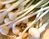 春だ！野草だ！ノビルの蜂蜜味噌漬け作り方1写真