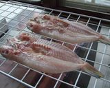 干物を作りましょう♪作り方8写真