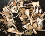 青じそ香る水菜と舞茸のサラダパスタ作り方6写真