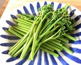 わらび アク抜き作り方5写真