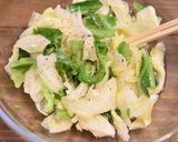 春キャベツのやみつき塩だれサラダ作り方3写真
