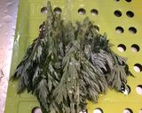 よもぎの天ぷら作り方5写真