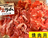 ラム切り落としでケバブ風串焼き作り方2写真
