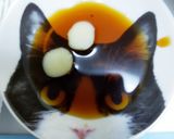 塔の上のラプンツェル『パスカル』キャラ弁作り方13写真