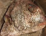 簡単美味しい、鯛の黒こしょう焼き作り方2写真