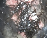 ひじきと豚肉のちらし寿司作り方2写真