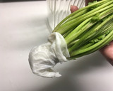 パクチーを長持ちさせる保存方法作り方2写真