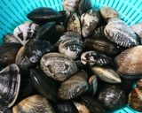 ほんのり香るにんにく醤油 あさりの酒蒸し作り方3写真