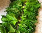 大量買い保存★しなった大葉も復活→保存♫作り方1写真