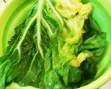 炊飯器でロールキャベツトマトソース煮作り方3写真