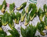 タカノツメと鷹の爪を入れた油炒め（＾＾）作り方2写真