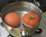 タッパーひとつで簡単サルサ作り方1写真