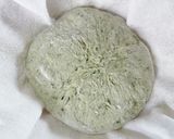 よもぎのブール作り方7写真