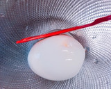 半熟卵 黄身はトロッとゆで卵作り方4写真