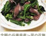 菜の花とホタルイカの海苔入りナムル☆作り方12写真