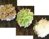 おにぎらず作り方5写真