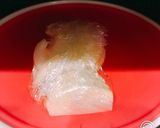 手作りトックで、辛さ控えめチーズトッポギ作り方12写真