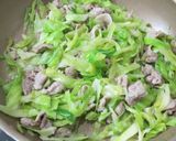 春満載☆春キャベツの春巻き作り方3写真