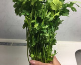 パクチーを長持ちさせる保存方法作り方7写真