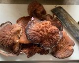 ばけもの椎茸を無駄なく作り方1写真