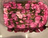 桜の塩漬け作り方3写真