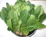 ほうれん草の胡麻和え作り方1写真