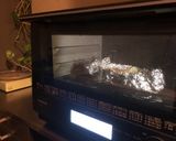 サーモンの味噌マヨバター焼き作り方4写真