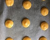 本格！クッキーシュー作り方12写真