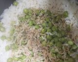 小えびとえんどう豆の炊き込みごはん作り方10写真