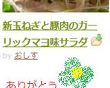 新玉ねぎと豚肉のガーリックマヨ味サラダ作り方10写真