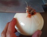 初心者でも簡単!!玉ねぎのみじん切り作り方2写真