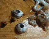イカの漁師焼き作り方2写真