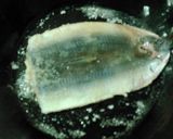いわしの竜田揚げの甘味噌風味作り方2写真