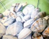 えびとあさりの中華風ご飯作り方1写真