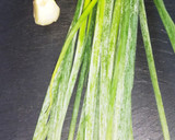 ニンニクと青ネギの胡麻油炒め作り方1写真