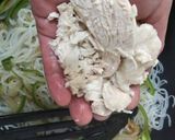糸こんにゃくでカルボナーラ作り方10写真