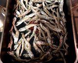 簡単カリッカリ！ナッツたつくり作り方1写真