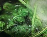 こごみのお浸し作り方6写真