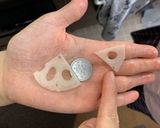 祭り寿司（岡山名物）作り方5写真