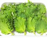 大葉大量 ~ペースト2種~作り方1写真