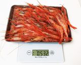 甘エビとイカの冷製カッペリーニ作り方9写真