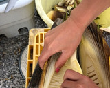 筍の皮の剥き方作り方4写真
