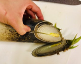 筍の茹で方・アク抜き・簡単皮むき作り方2写真
