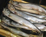 鯉のぼりのメタファーとしてのししゃも作り方5写真