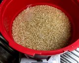 玄米(金のいぶき)の電子レンジ圧力鍋炊飯作り方2写真