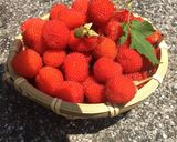 野いちごのジャム作り方1写真