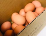具沢山な どんぶり茶碗蒸し 4人前作り方1写真
