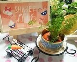 何でも野菜スープPart 1作り方7写真
